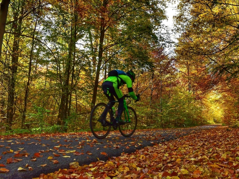 Országúti kerékpáros túrák