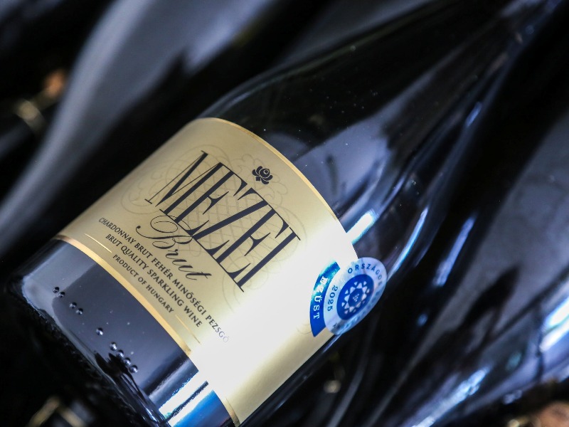 Pezsgőzés Tibolddarócon