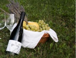 27713ad2 5ecc 4345cc aab00f032445 image