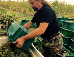 5c7bff7e b89d 42fd 9b43d4319653c45 image