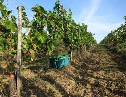 b214711c 135b 4cb5 d0365e1174eb image