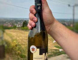 300354349 450437083767030 6501827784731535250 n