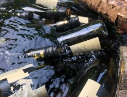 357728565 668779198599483 1412890855494290267 n