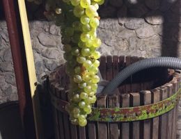 464854702 27474325442211621 7120510267235295752 n