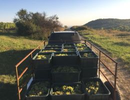 464868238 27474325432211622 4605437580886694039 n