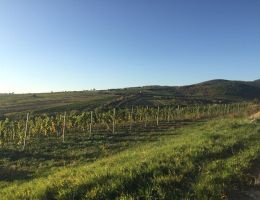 464954859 27474325445544954 5659928917092618940 n