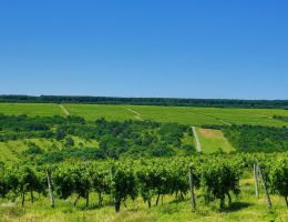 116895035 3569927353017276 2960360092367981729 n