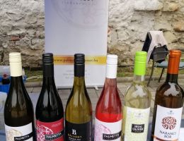 354633840 1916219175409336 8459073807319342978 n